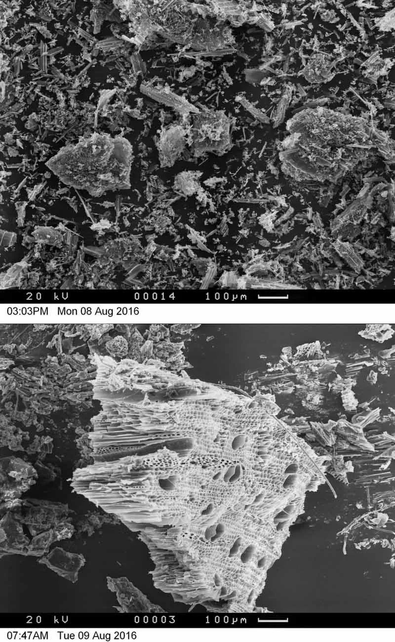 Soilfixer-Activated-Carbon-Granule-Powder